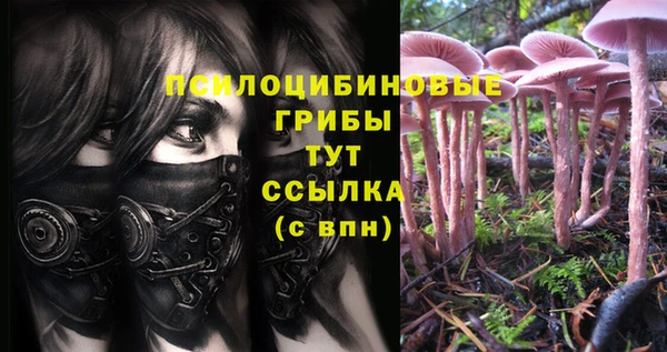героин Богородицк