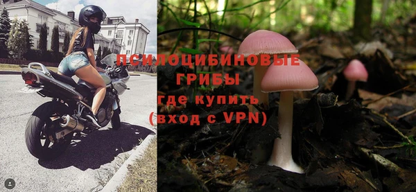 ALPHA PVP Беломорск