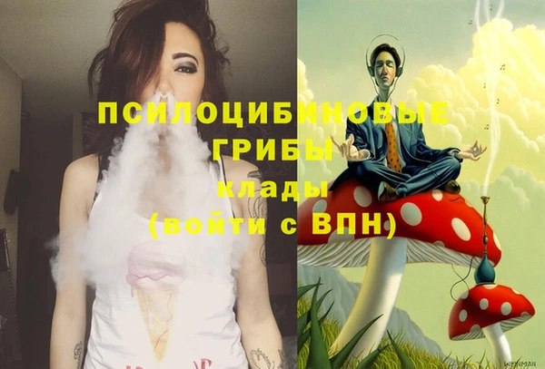 гидропоника Богданович