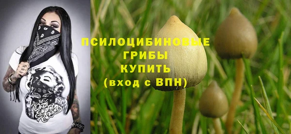 спиды Белокуриха